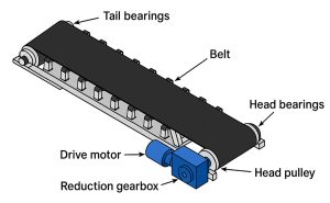 Belt construction cutaway