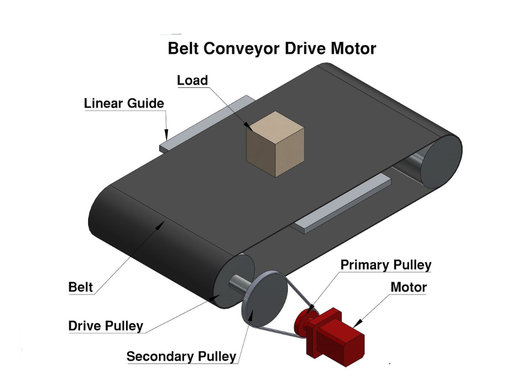 Curved modular belt
